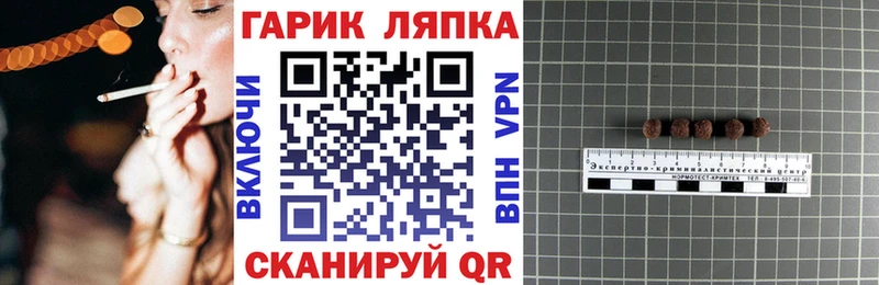 ГАШ Premium  сколько стоит  Семикаракорск 
