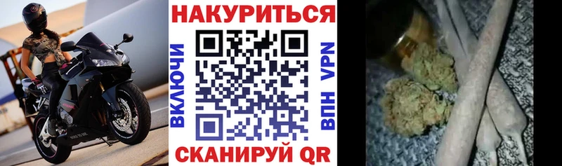 Шишки марихуана марихуана  Семикаракорск 